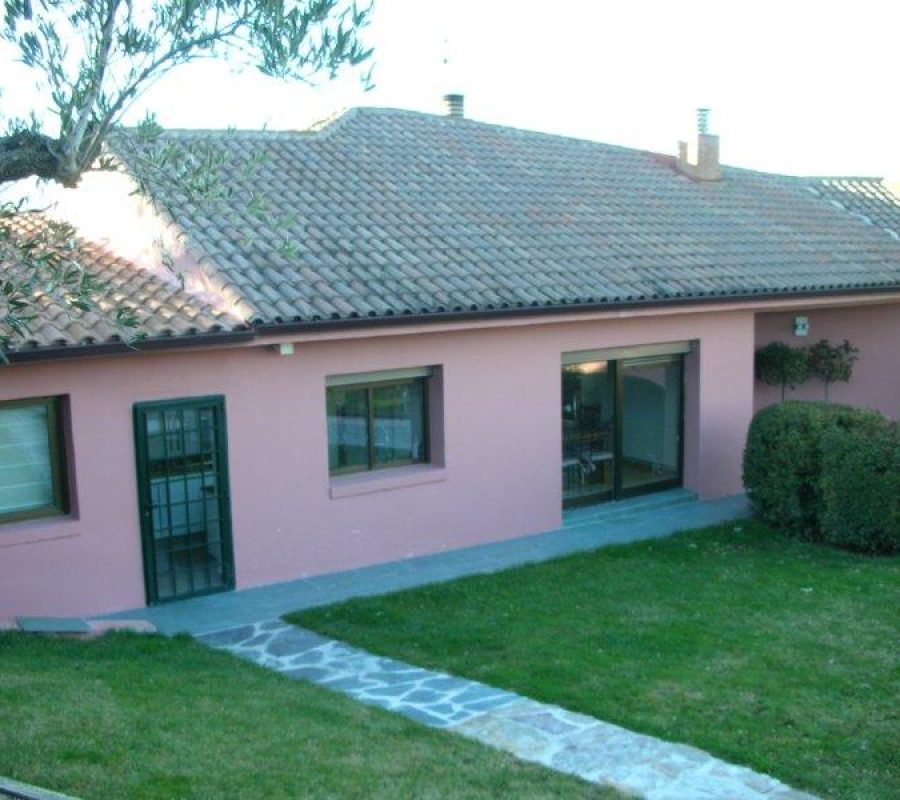 DSCN3503
