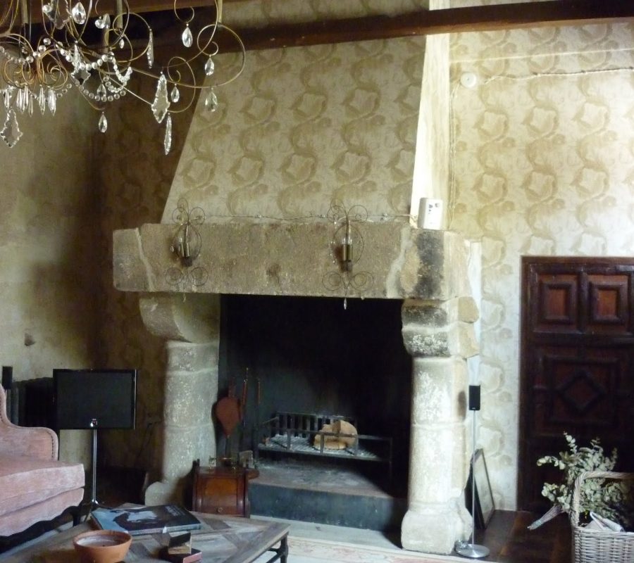P1000454